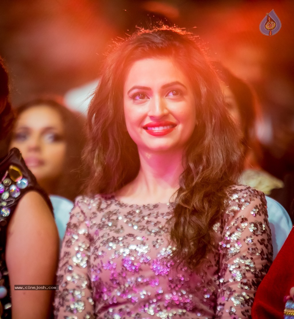 Celebs at SIIMA 2014 - 128 / 431 photos