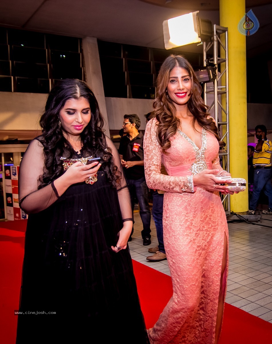Celebs at SIIMA 2014 - 221 / 431 photos