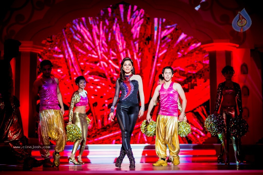 Celebs at SIIMA 2014 - 230 / 431 photos