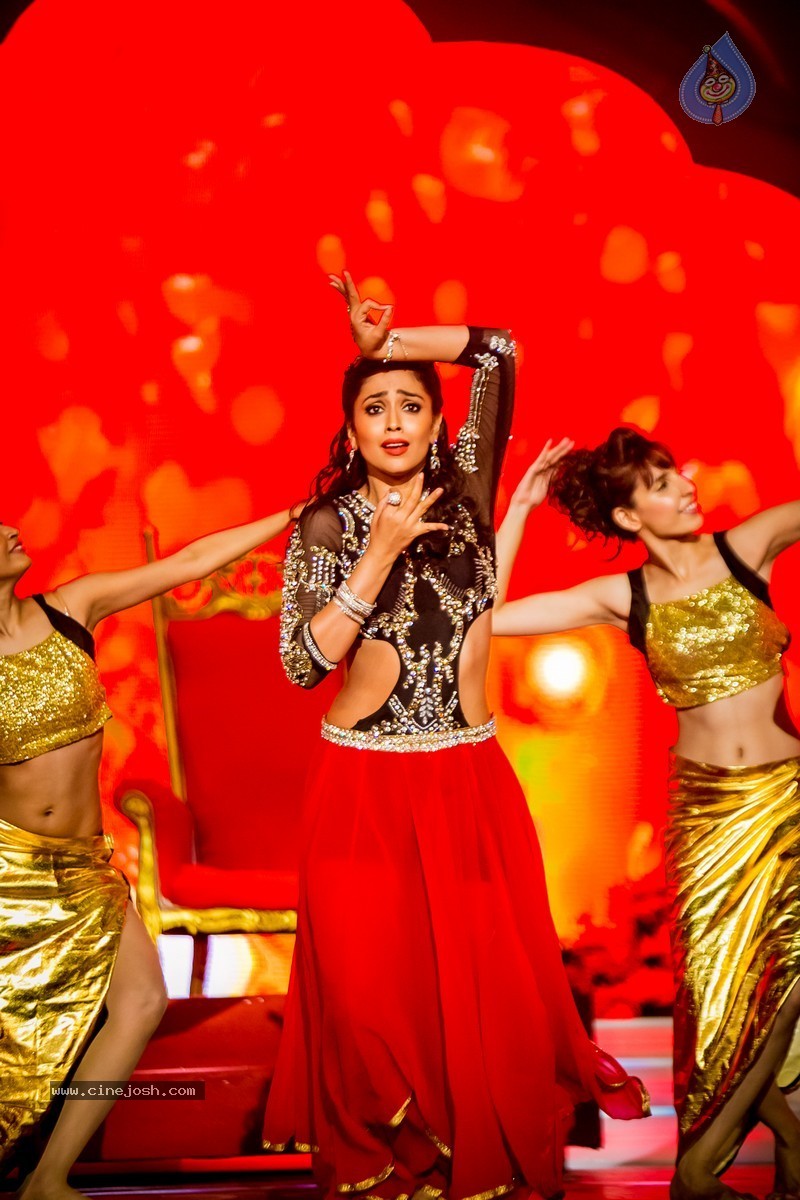 Celebs at SIIMA 2014 - 231 / 431 photos