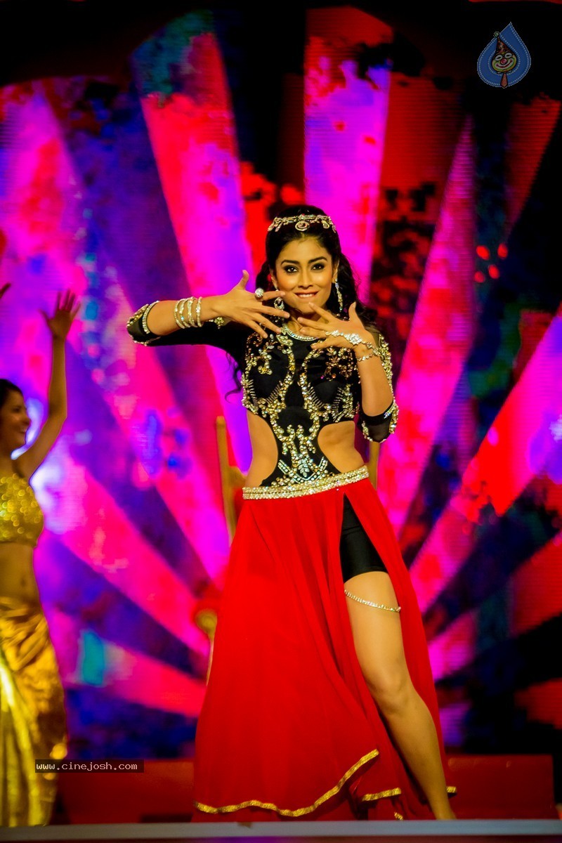 Celebs at SIIMA 2014 - 243 / 431 photos