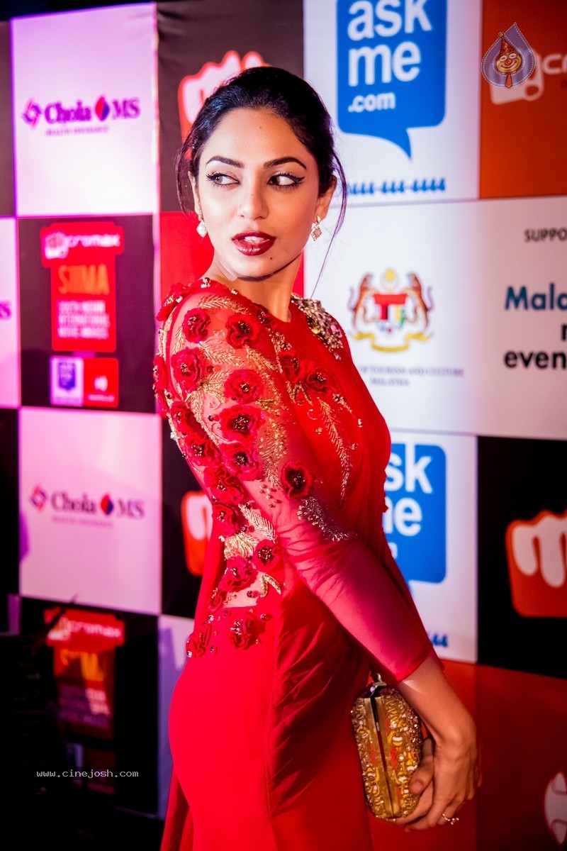 Celebs at SIIMA 2014 - 260 / 431 photos