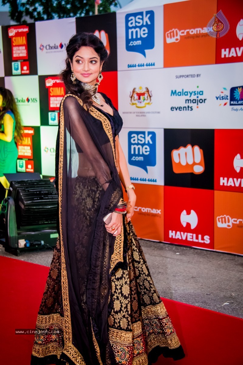 Celebs at SIIMA 2014 - 261 / 431 photos