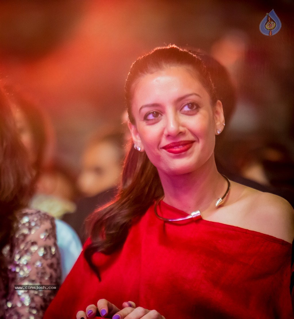 Celebs at SIIMA 2014 - 267 / 431 photos