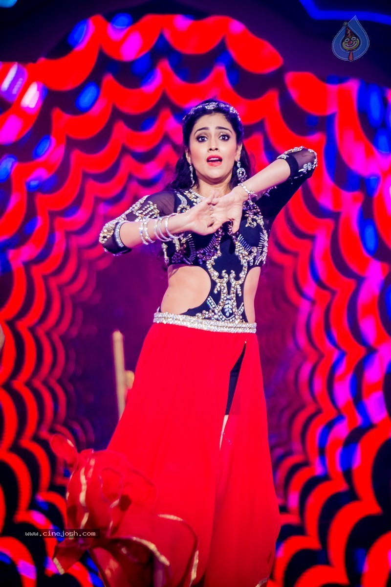 Celebs at SIIMA 2014 - 380 / 431 photos