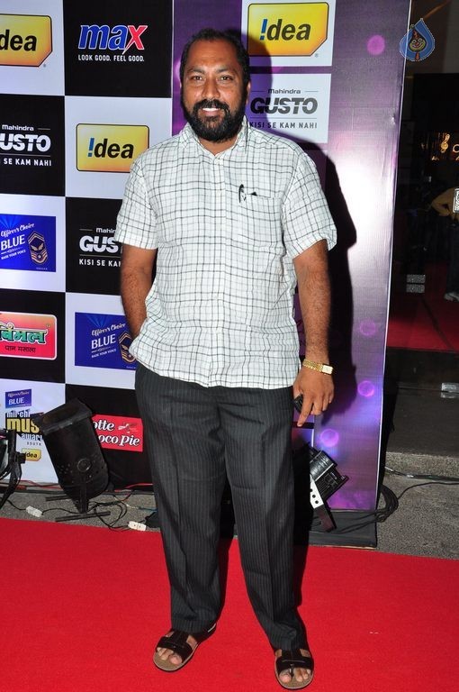 Celebs at Mirchi Music Awards 2014 Photos 1 - 40 / 68 photos