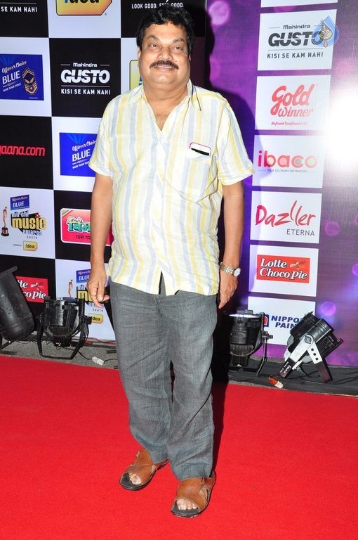 Celebs at Mirchi Music Awards 2014 Photos 1 - 44 / 68 photos