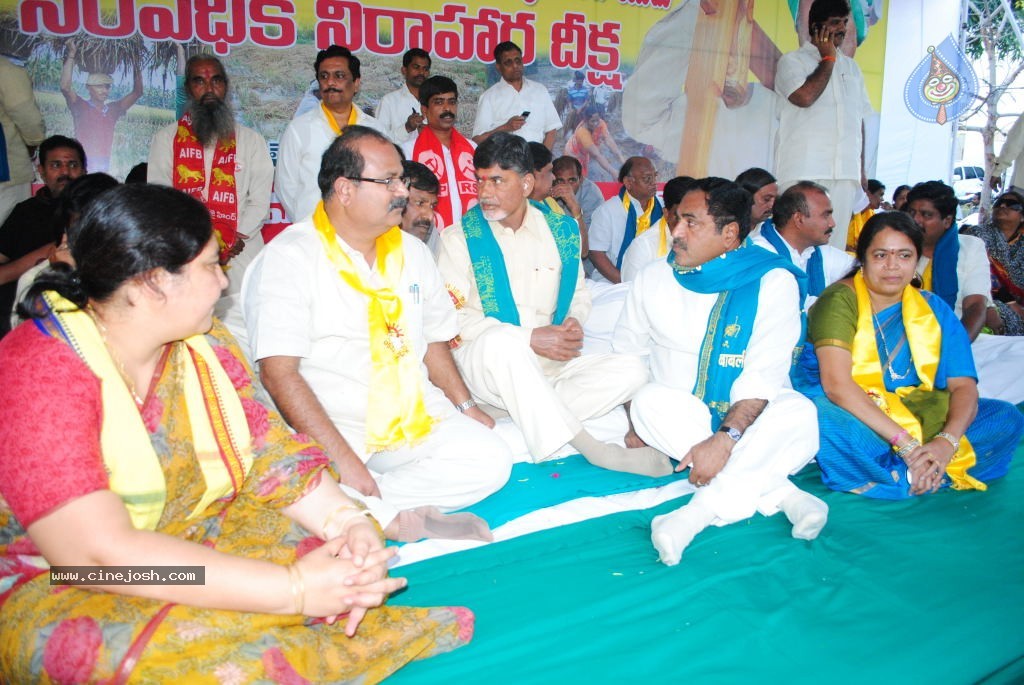 Chandrababu Indefinite Fast Photos - 7 / 83 photos