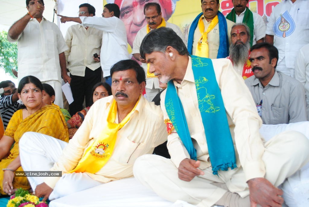 Chandrababu Indefinite Fast Photos - 11 / 83 photos