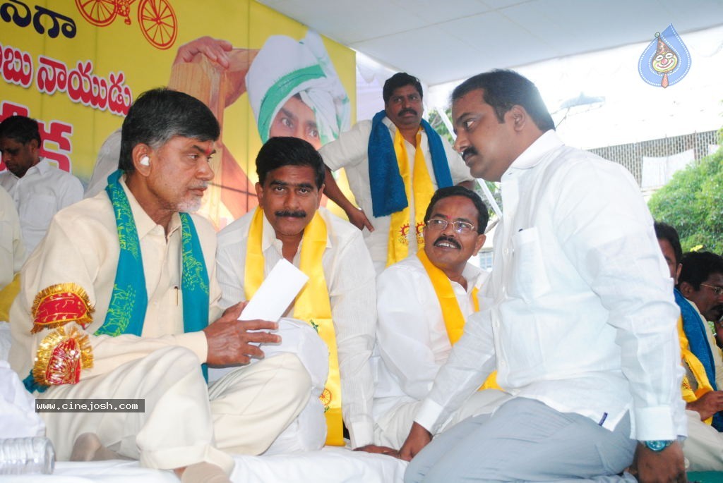 Chandrababu Indefinite Fast Photos - 14 / 83 photos