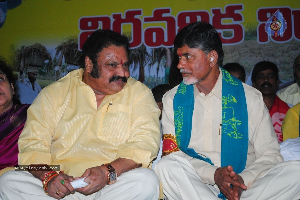 Chandrababu Indefinite Fast Photos - 15 / 83 photos