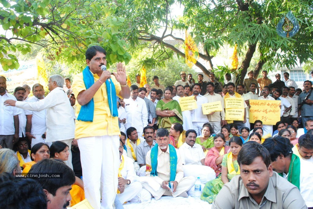 Chandrababu Indefinite Fast Photos - 18 / 83 photos