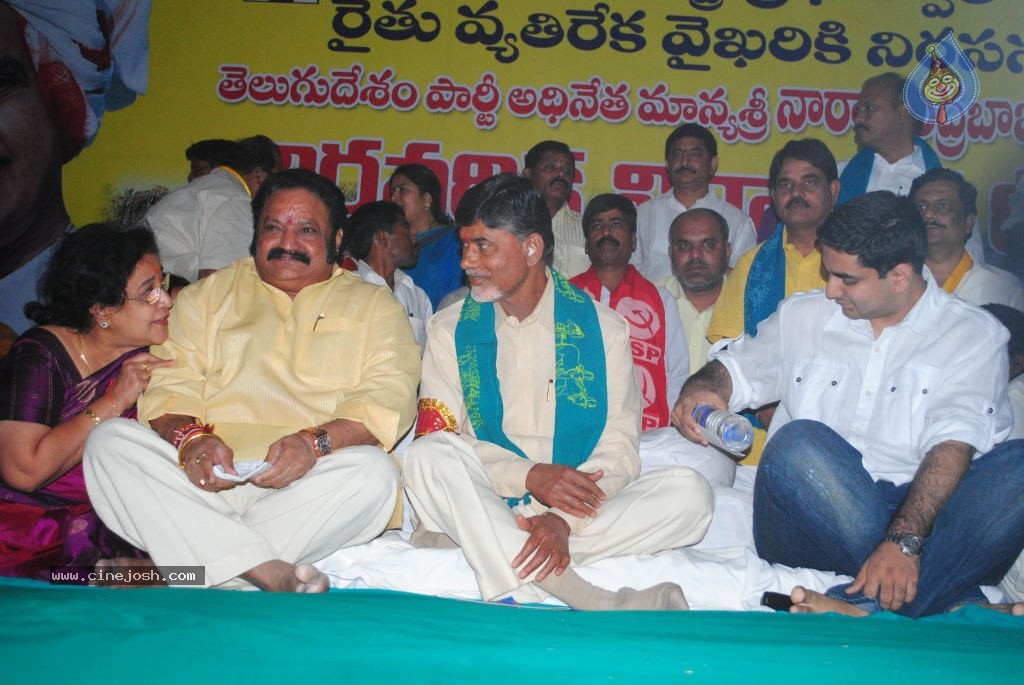 Chandrababu Indefinite Fast Photos - 21 / 83 photos