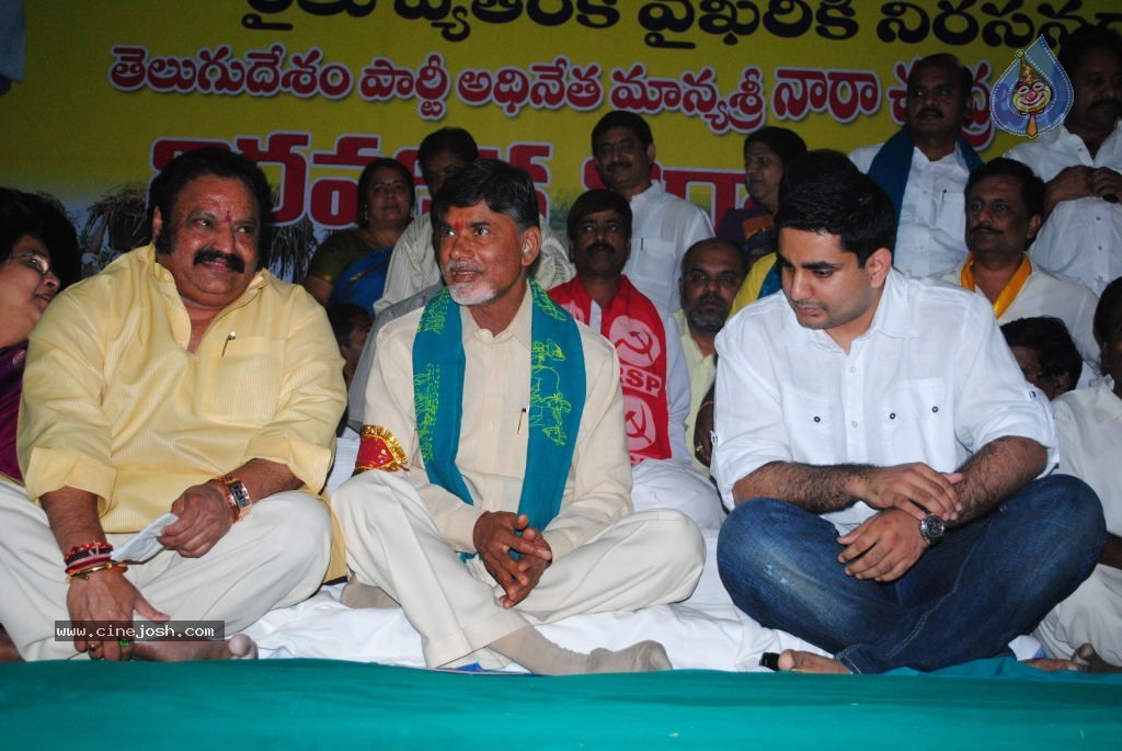 Chandrababu Indefinite Fast Photos - 22 / 83 photos