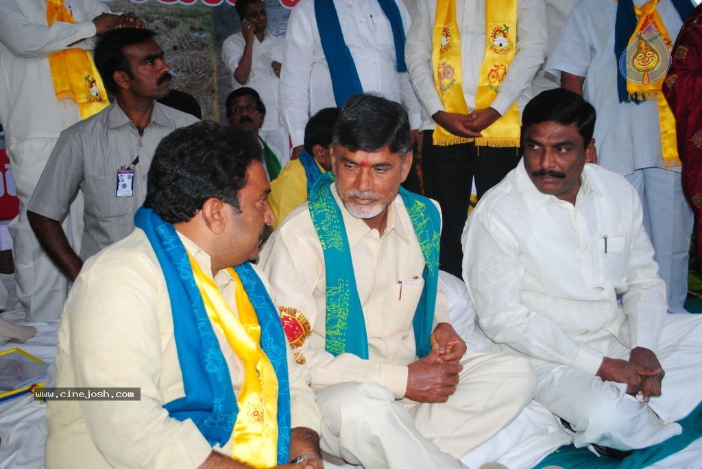 Chandrababu Indefinite Fast Photos - 25 / 83 photos