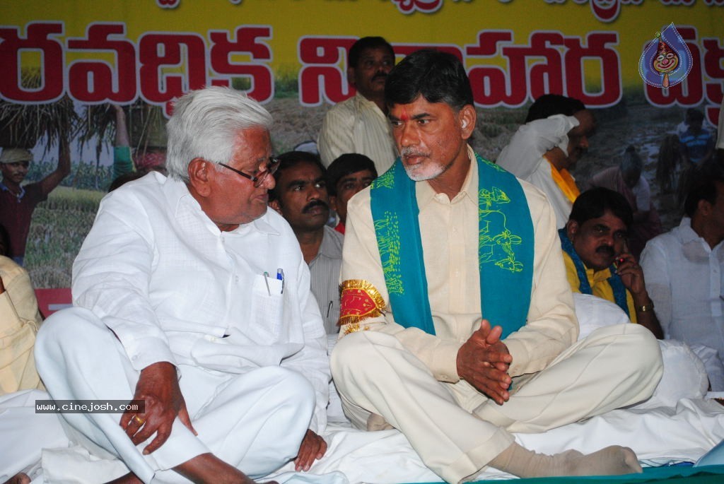 Chandrababu Indefinite Fast Photos - 27 / 83 photos