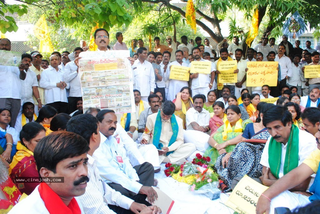 Chandrababu Indefinite Fast Photos - 29 / 83 photos