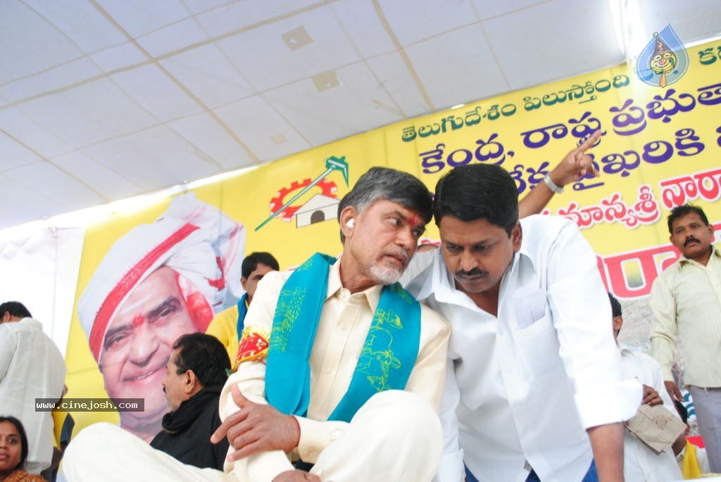 Chandrababu Indefinite Fast Photos - 31 / 83 photos