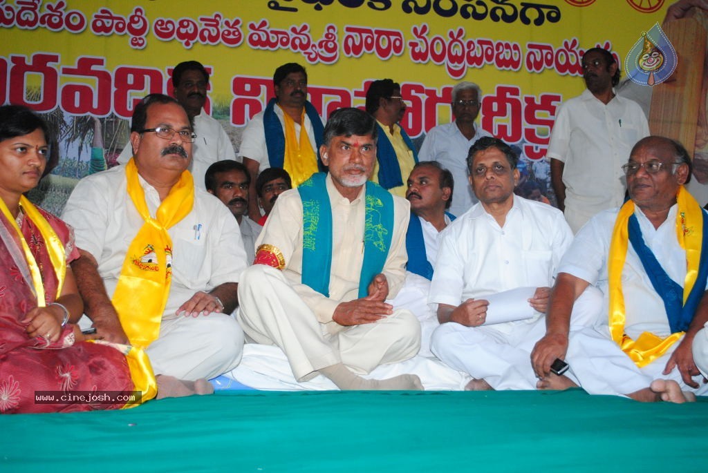 Chandrababu Indefinite Fast Photos - 32 / 83 photos