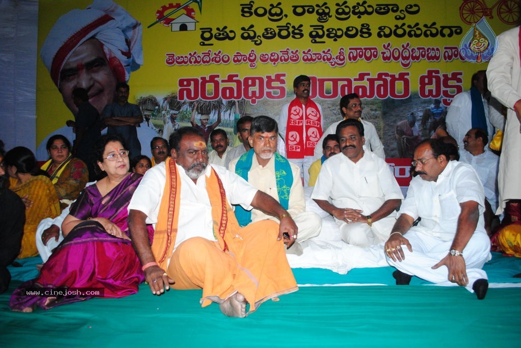 Chandrababu Indefinite Fast Photos - 35 / 83 photos