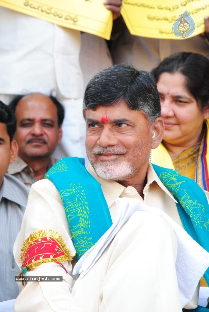 Chandrababu Indefinite Fast Photos - 36 / 83 photos