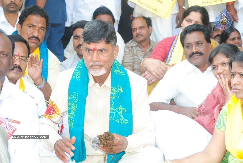 Chandrababu Indefinite Fast Photos - 38 / 83 photos