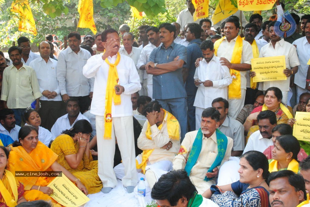 Chandrababu Indefinite Fast Photos - 42 / 83 photos