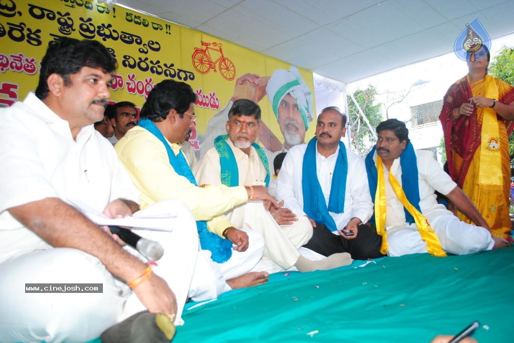 Chandrababu Indefinite Fast Photos - 45 / 83 photos