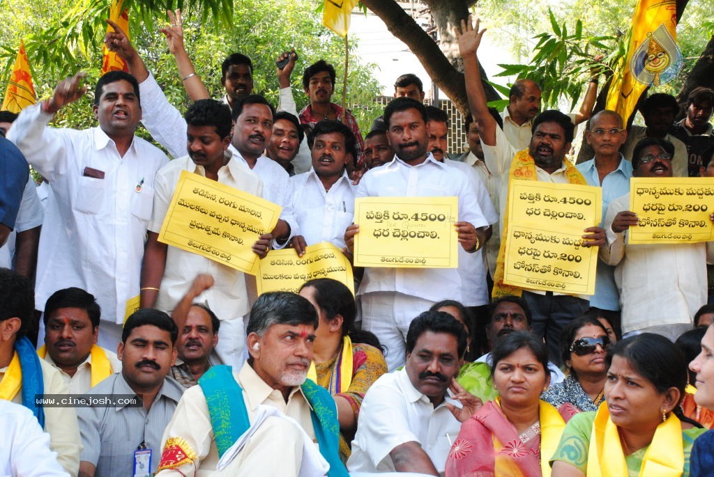 Chandrababu Indefinite Fast Photos - 46 / 83 photos