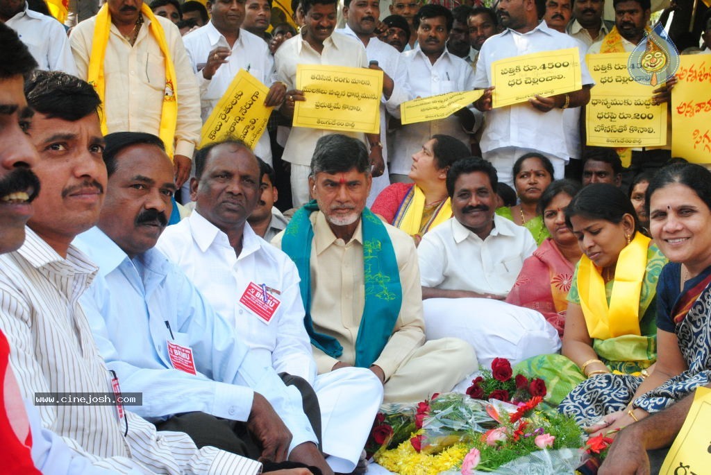 Chandrababu Indefinite Fast Photos - 48 / 83 photos