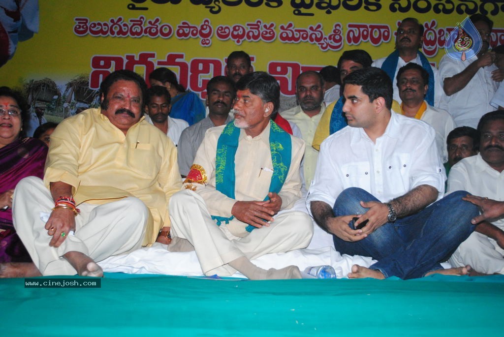 Chandrababu Indefinite Fast Photos - 50 / 83 photos