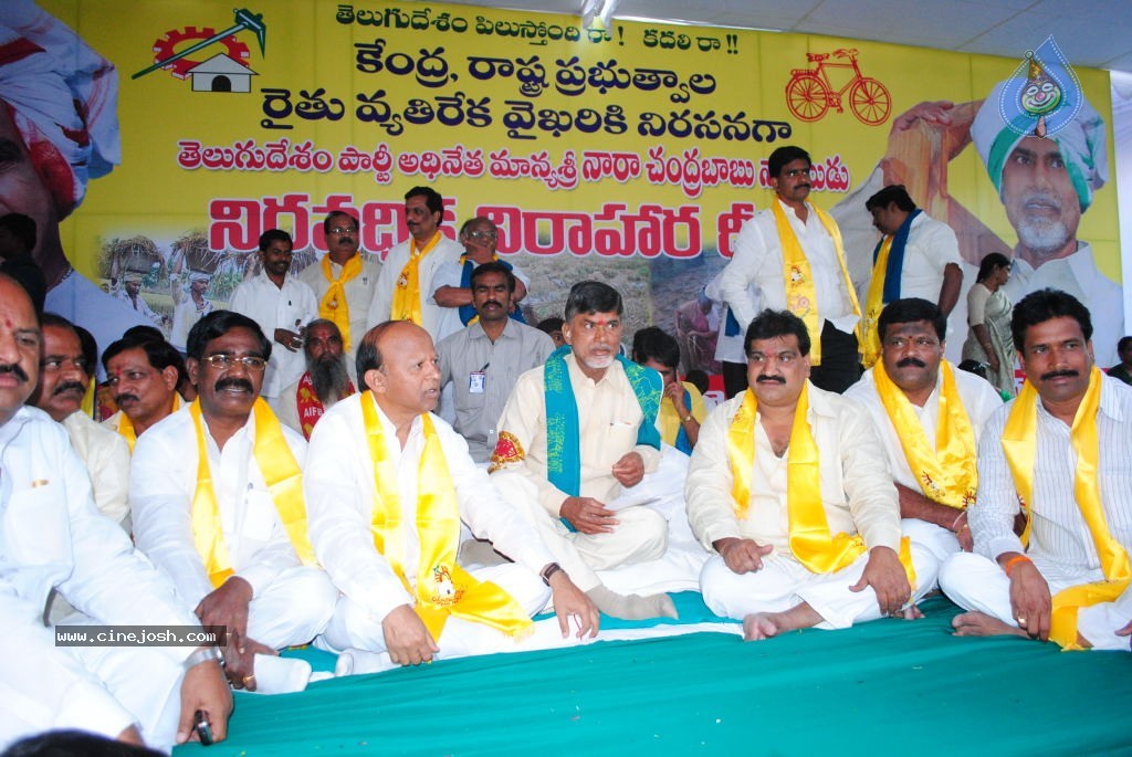 Chandrababu Indefinite Fast Photos - 53 / 83 photos