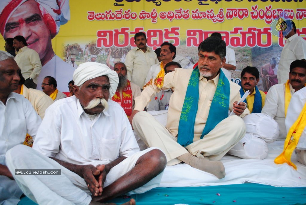 Chandrababu Indefinite Fast Photos - 54 / 83 photos