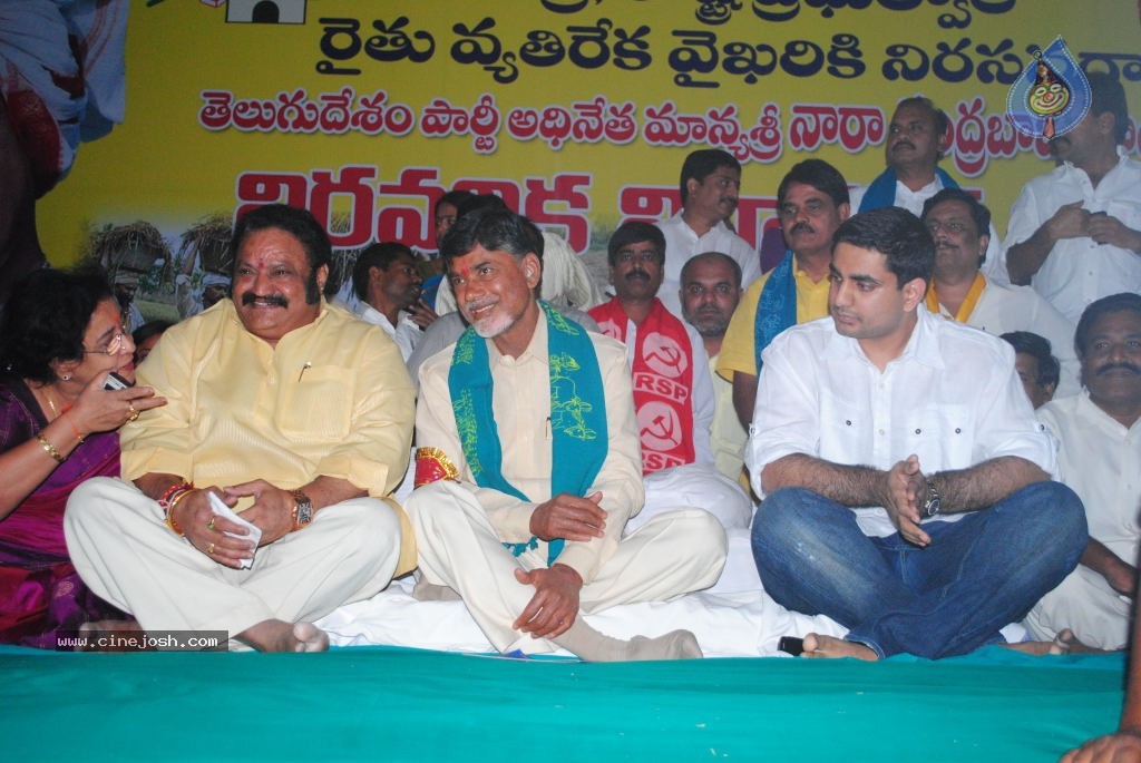 Chandrababu Indefinite Fast Photos - 55 / 83 photos