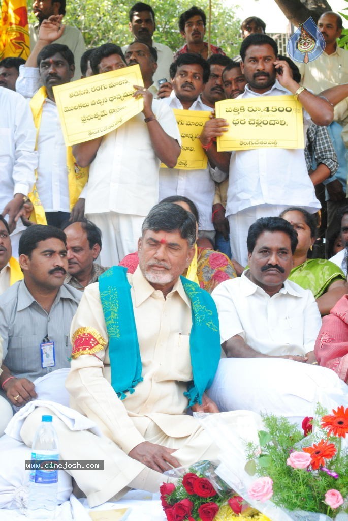 Chandrababu Indefinite Fast Photos - 56 / 83 photos