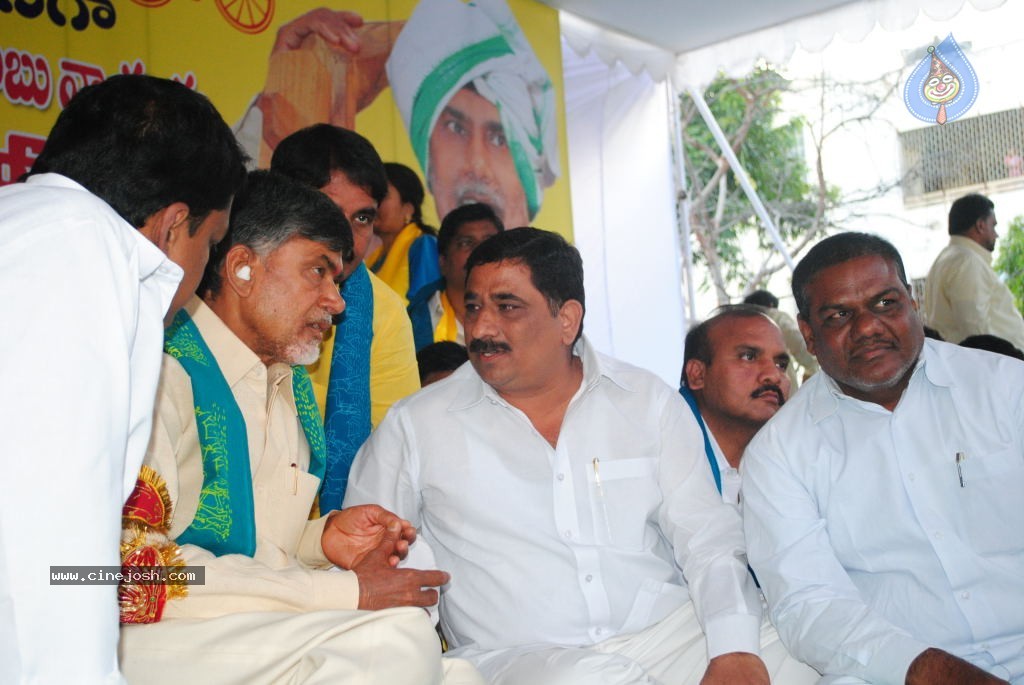 Chandrababu Indefinite Fast Photos - 57 / 83 photos