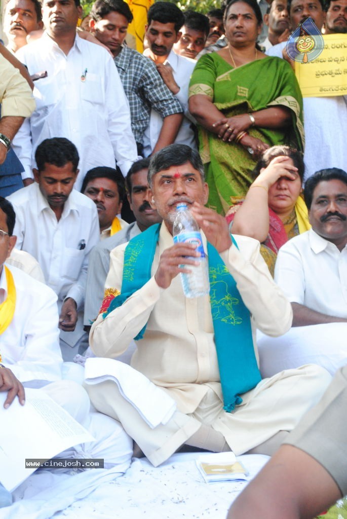 Chandrababu Indefinite Fast Photos - 61 / 83 photos