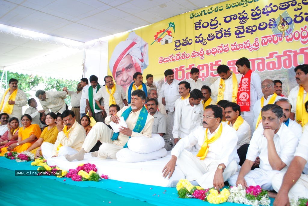 Chandrababu Indefinite Fast Photos - 63 / 83 photos