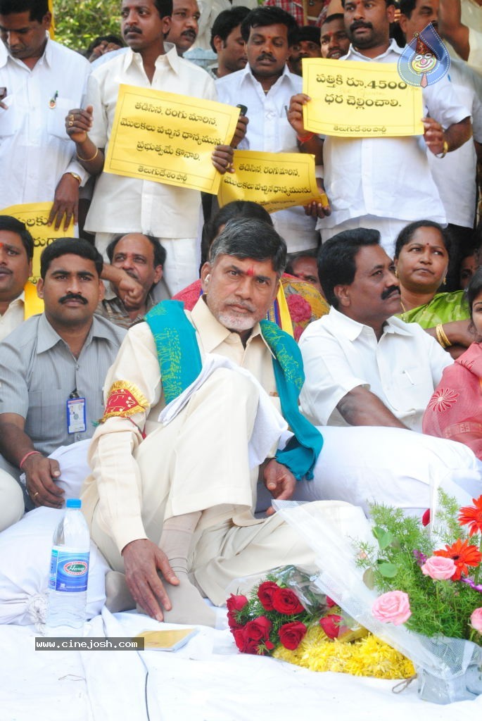 Chandrababu Indefinite Fast Photos - 66 / 83 photos