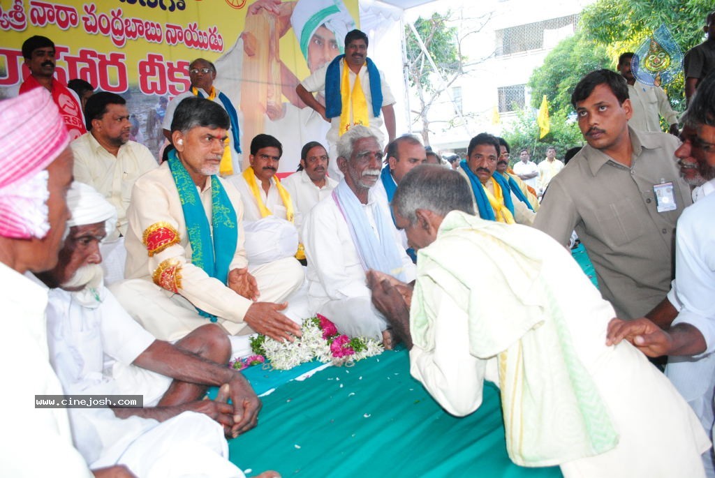 Chandrababu Indefinite Fast Photos - 72 / 83 photos