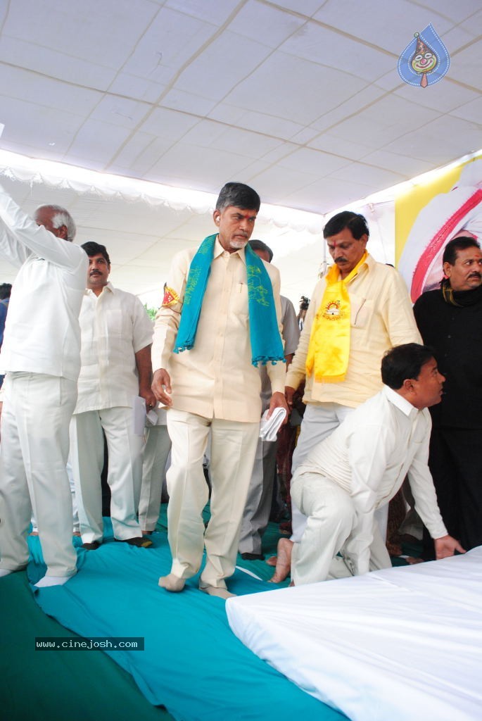 Chandrababu Indefinite Fast Photos - 81 / 83 photos