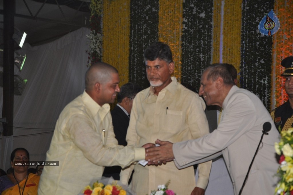 Chandrababu Naidu Sworn in as Andhra Pradesh CM - 45 / 150 photos