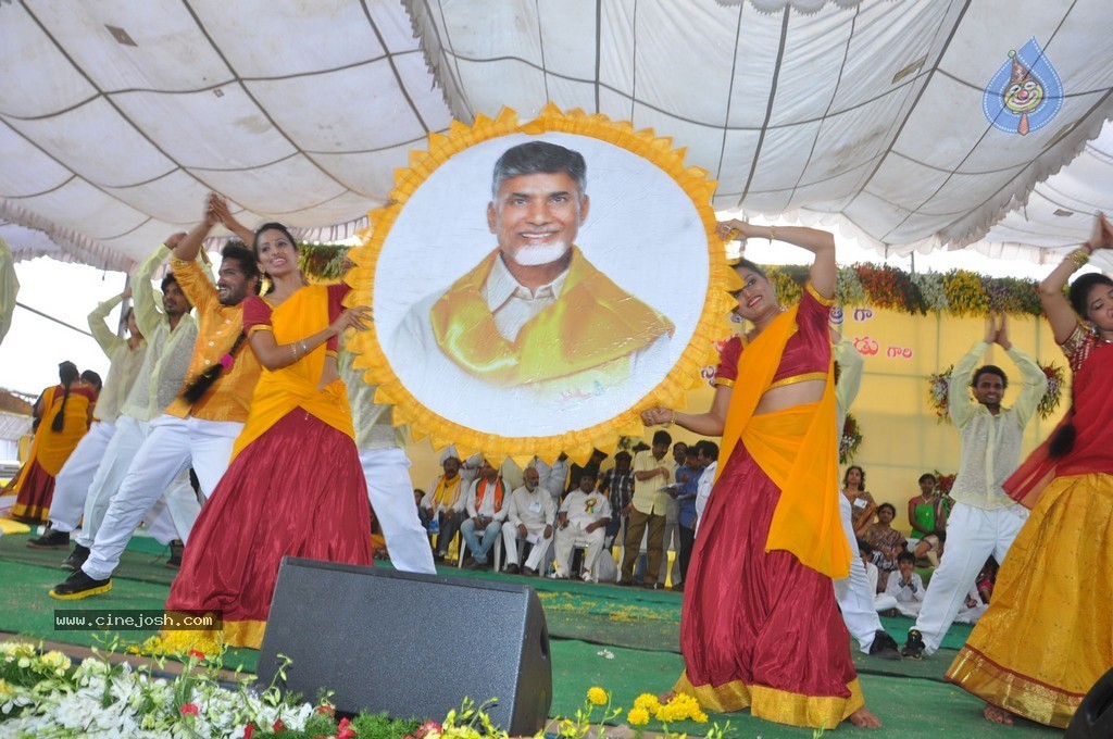 Chandrababu Naidu Sworn in as Andhra Pradesh CM - 54 / 150 photos
