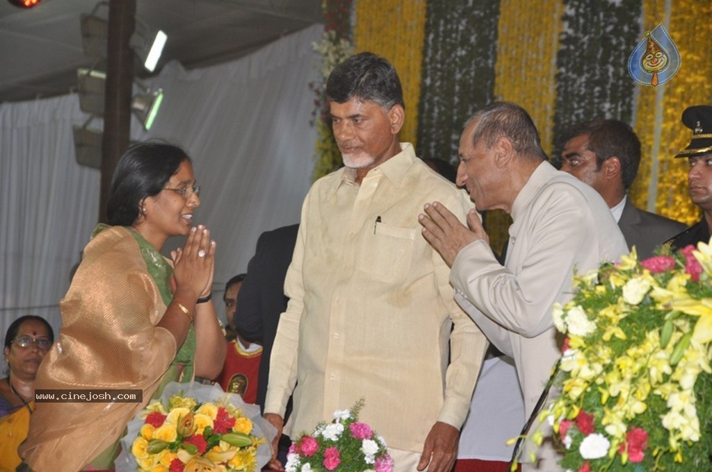 Chandrababu Naidu Sworn in as Andhra Pradesh CM - 66 / 150 photos
