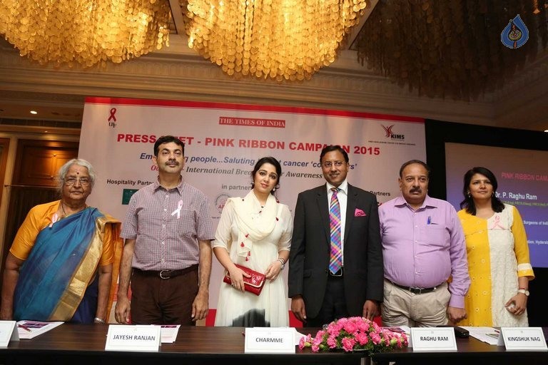 Charmme at Pink Ribbon Campaign 2015 Event - 24 / 42 photos