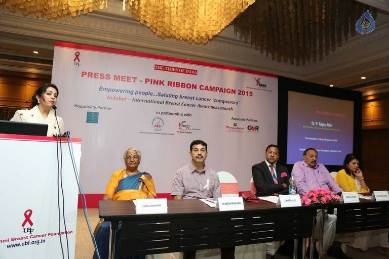 Charmme at Pink Ribbon Campaign 2015 Event - 38 / 42 photos