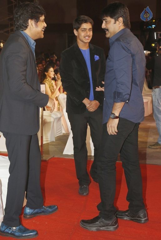 Cine MAA Awards 2015 Photos 1 - 12 / 86 photos