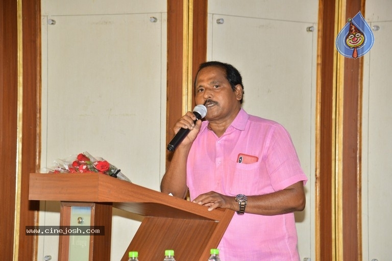 Cine Pramukhula Chemakkulu Book Release  - 7 / 21 photos