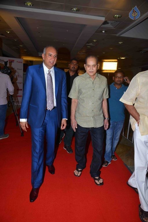 CineMAA awards 2015 Red Carpet - 11 / 89 photos