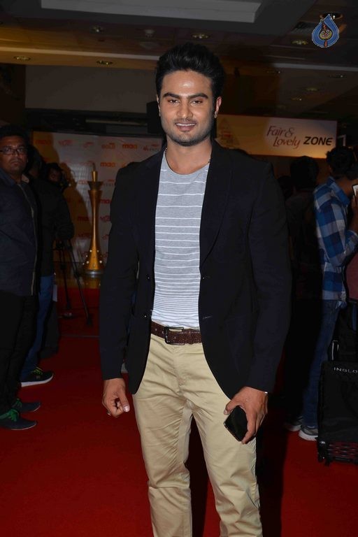 CineMAA awards 2015 Red Carpet - 37 / 89 photos
